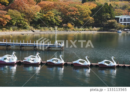 芦ノ湖に浮かぶスワンボート 133113565