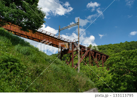旧立場川橋梁 133113795