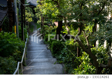 【港区高輪】長い下り坂のあるお寺 【港区高輪】長い下り坂のあるお寺 133114261