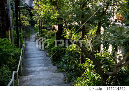 【港区高輪】長い下り坂のあるお寺 【港区高輪】長い下り坂のあるお寺 133114262