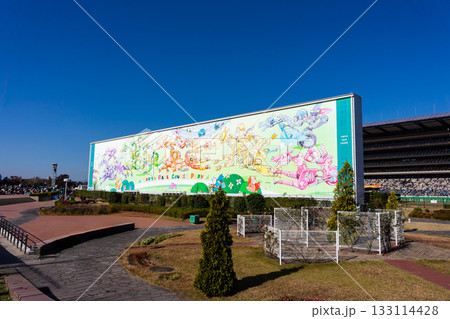東京競馬場の東京レースコースパース 東京都府中市日吉町 東京競馬場の東京レースコースパース 東京都府中市日吉町 133114428