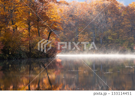 鎌池の紅葉 鎌池の紅葉 133114451