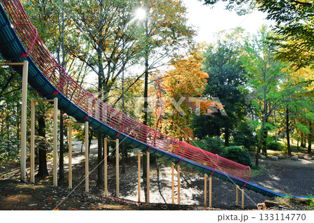 西ノ原中央公園_07 133114770