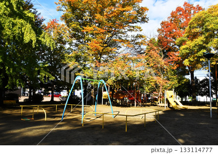 西ノ原中央公園_14 西ノ原中央公園_14 133114777