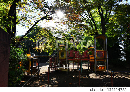 西ノ原中央公園_19 133114782