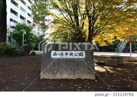西ノ原中央公園_25 133114788