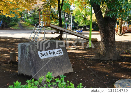 西ノ原中央公園_26 133114789