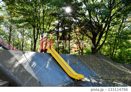 西ノ原中央公園_35 133114798