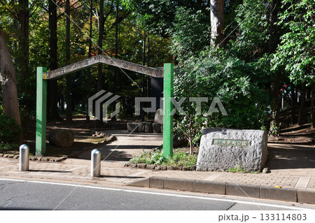 西ノ原中央公園_40 133114803