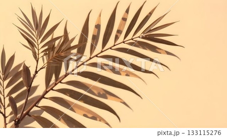Shadow of palm fronds against a warm wall during late afternoon light in a tranquil setting 133115276