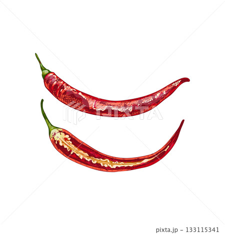 Whole and half pepper cayenne. Vector vintage hatching color illustration. Whole and half pepper cayenne. Vector vintage hatching color illustration. 133115341