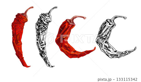 Whole dry pepper chilli. Vintage hatching illustration. 133115342