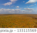 Aerial colorful autumn forest with scenic blue sky 133115569