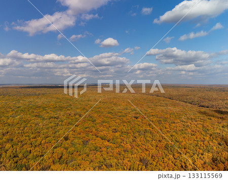 Aerial colorful autumn forest with scenic blue sky 133115569