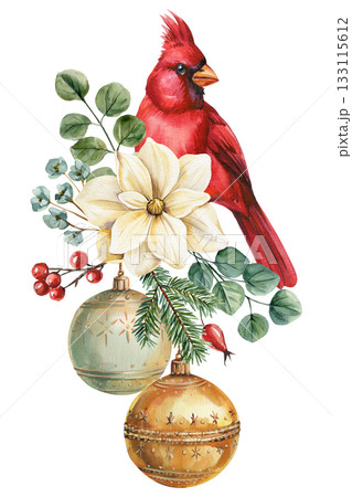 Red cardinal with cream flower eucalyptus leaves pine branches berries and gold ornaments festive botanical illustration Red cardinal with cream flower eucalyptus leaves pine branches berries and gold ornaments festive botanical illustration 133115612