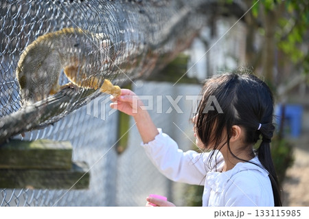 (クローズアップ)動物にエサをあげる子供の優しい手とふれあい (クローズアップ)動物にエサをあげる子供の優しい手とふれあい 133115985