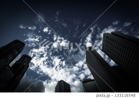 新宿の高層ビル群と青空 133116548