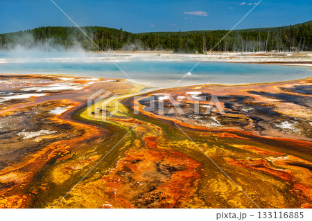 Vibrant orange and yellow bacteria mat runoff from Rainbow Pool in Yellowstone's Black Sand Basin. The steaming blue hot spring is in the background 133116885
