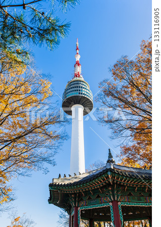 秋のソウル　南山タワーと八角亭 133116905