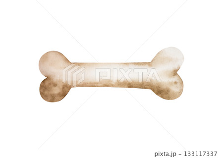 Watercolor hand drawn prehistoric dinosaur or dog bone, animal. Isolated illustration on transparent background. Perfect for Pet Product Designs, projects. For designers, invitations, decoration 133117337