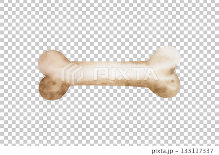 Watercolor hand drawn prehistoric dinosaur or dog bone, animal. Isolated illustration on transparent background. Perfect for Pet Product Designs, projects. For designers, invitations, decoration 133117337