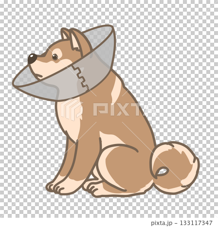 A simple illustration of a Shiba Inu sitting with an Elizabethan collar 133117347