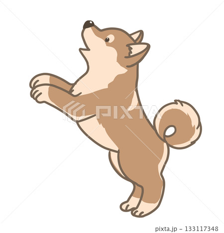 おねだりをする柴犬のシンプルイラスト 133117348