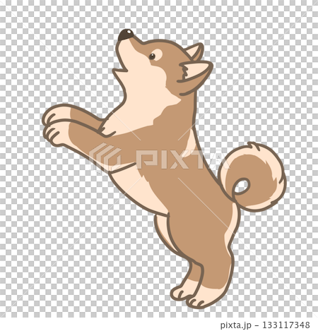 おねだりをする柴犬のシンプルイラスト 133117348