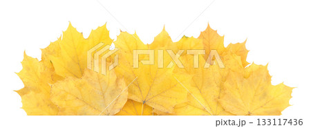 Autumn leaves lying horizontally, isolated on transparent background. Perfect natural template for cards, banners, and seasonal design projects 133117436