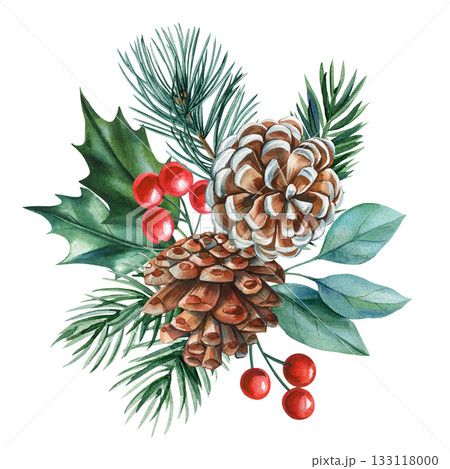 Pine cones with holly leaves and red berries watercolor winter botanical arrangement for seasonal holiday decor 133118000