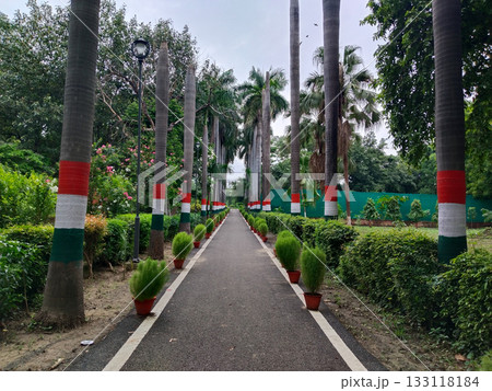 Garden walkway lined with palm trees painted in tricolor bands, featuring potted decorative plants and lush greenery on both sides, ideal for public parks, campus landscapes or ceremonial paths, 133118184