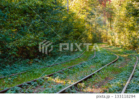 Tram and tram rails in colorful forest 133118294