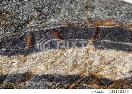 Macro mineral stone Snake eye in the rock a white background 133118386