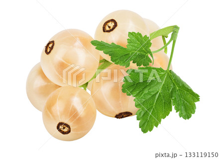 white or yellow currant isolated on white background with full depth of field white or yellow currant isolated on white background with full depth of field 133119150