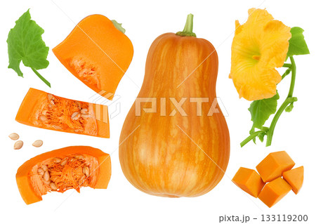 butternut squash slice isolated on white background with full depth of field. Top view. Flat lay butternut squash slice isolated on white background with full depth of field. Top view. Flat lay 133119200
