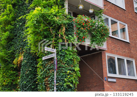 Green vines and colorful flowers adorn building exterior in urban setting 133119245