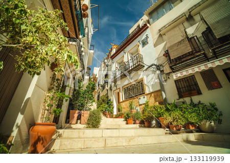 Sunny narrow street with white Mediterranean houses and potted plants on stairs, typical of Spanish coastal towns and filled with vibrant greenery and charm. Sunny narrow street with white Mediterranean houses and potted plants on stairs, typical of Spanish coastal towns and filled with vibrant greenery and charm. 133119939