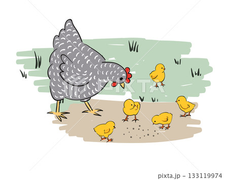 Chicken family vector illustration. Hen with baby chicks. Easter card design Chicken family vector illustration. Hen with baby chicks. Easter card design 133119974