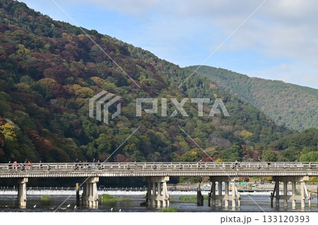 紅葉の嵐山渡月橋を渡る渡月のカップル 133120393