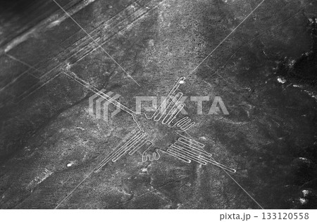 南米ペルー・ナスカの地上絵　ハチドリ 133120558