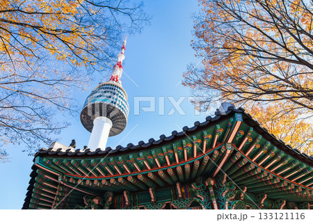 秋のソウル　南山タワーと八角亭 133121116