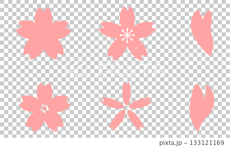 Cherry blossom and petal vector illustration set 133121169