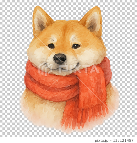 一隻戴著圍巾的柴犬插圖 - 可愛的冬季動物 一隻戴著圍巾的柴犬插圖 - 可愛的冬季動物 133121487