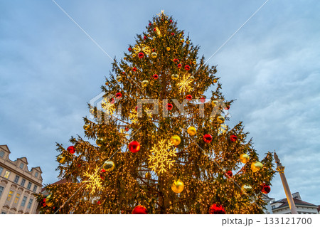 Decorated and illuminated christmas tree in the city Decorated and illuminated christmas tree in the city 133121700