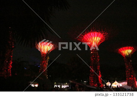 ガーデンズ・バイ・ザ・ベイのナイトショー 133121738