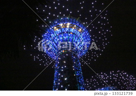 ガーデンズ・バイ・ザ・ベイのナイトショー 133121739