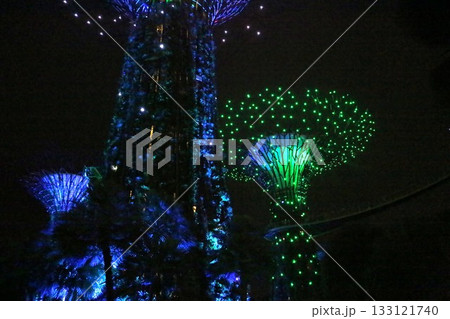 ガーデンズ・バイ・ザ・ベイのナイトショー 133121740