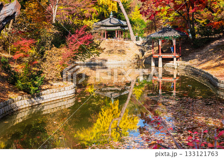 秋のソウル　昌徳宮　後苑 133121763