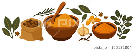 Assortment of aromatic spices and fragrant herbs. Vector collection 133121804