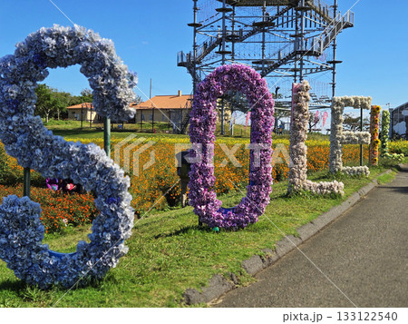 ソレイユの丘 コスモスと風景 133122540